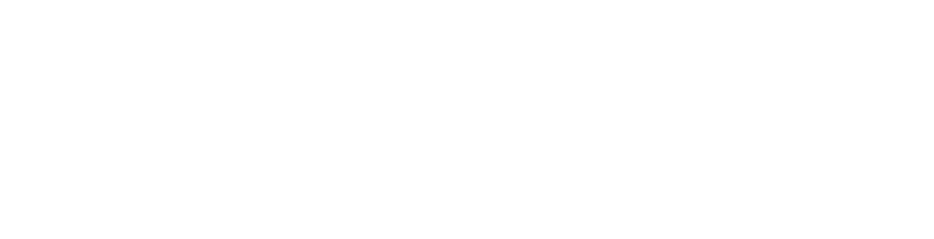 Numo Program